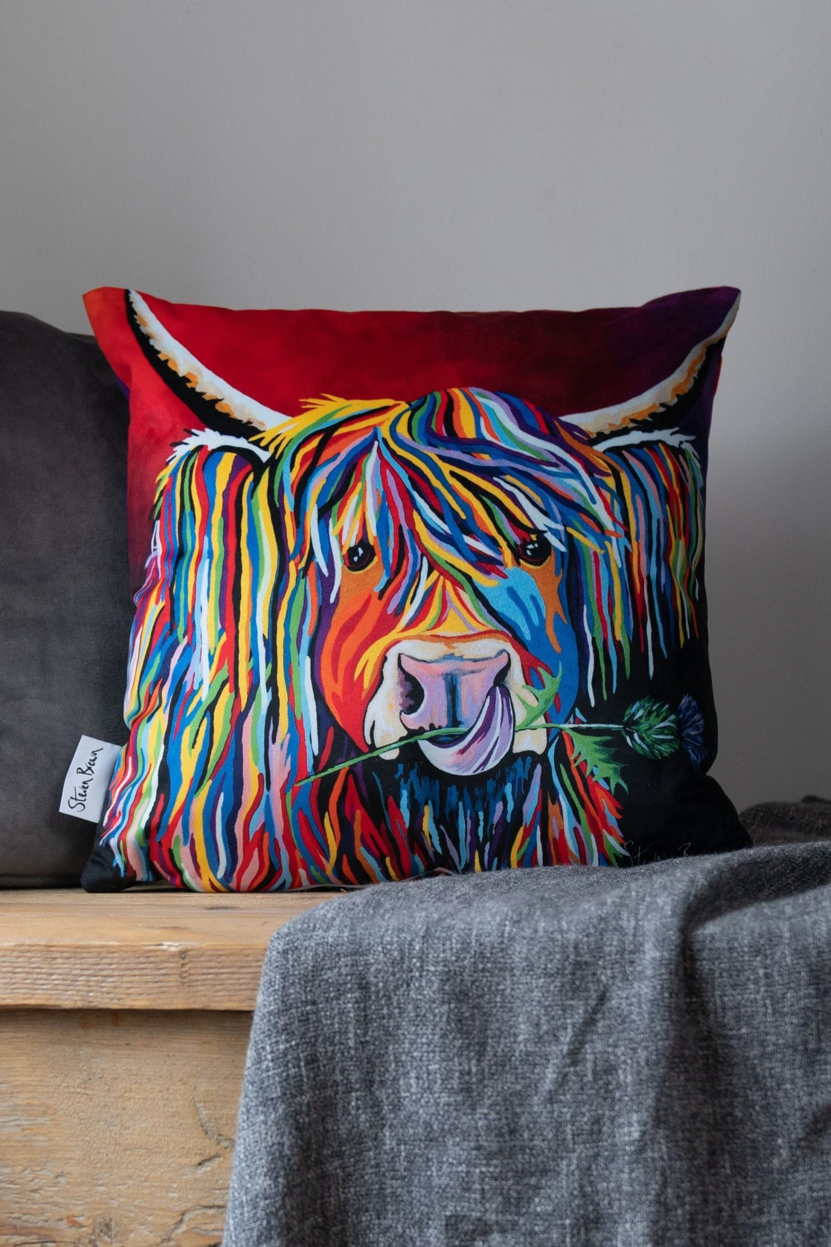Steven Brown Art Lizzie McCoo 45cm Cushion 3 Steven Brown Art Lizzie McCoo 45cm Cushion