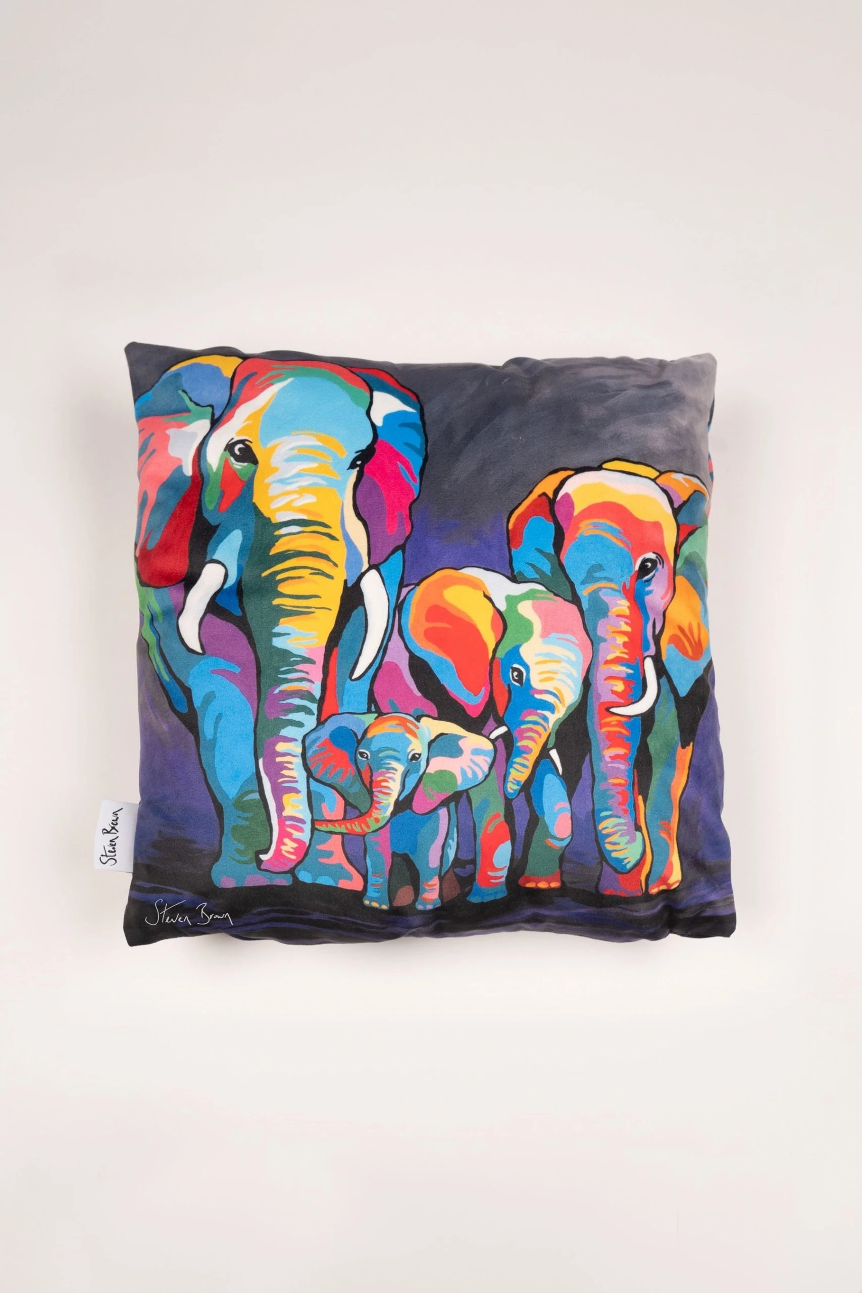 Steven Brown Art Allan & Jackie McZoo 45cm Cushion Steven Brown Art Allan & Jackie McZoo 45cm Cushion -Louis De Poortere Shop U68440s3 scaled
